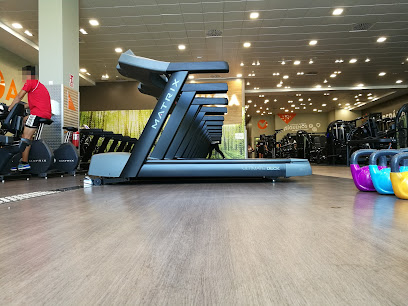 Clases grupales más populares y sus beneficios para la salud